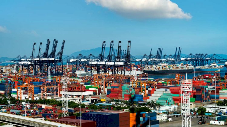 IMO: Customs and ports urged to maintain flow of critical goods