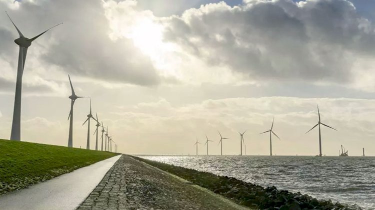 Trelleborg supports windfarm development with offshore cable protection