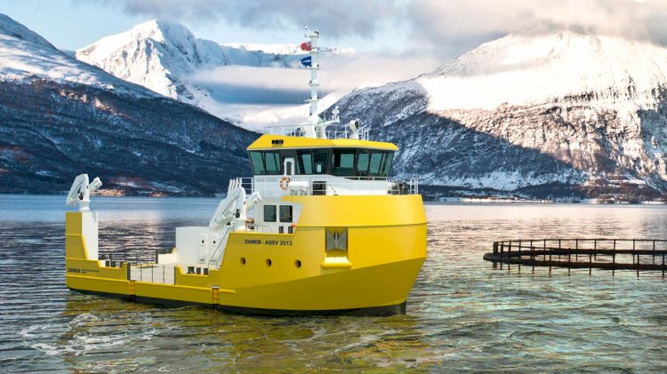 Damen unveils new workboat for the aquaculture industry