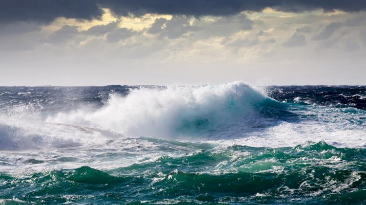WES awards £1.4 million for wave energy connection systems