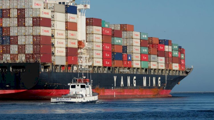 Yang Ming to add two 11,000 TEU vessels to fleet