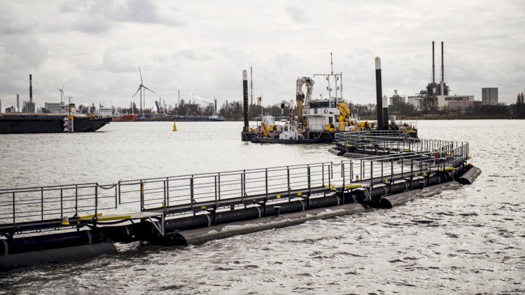 Port of Antwerp: the solution to the ecological problem is finally found