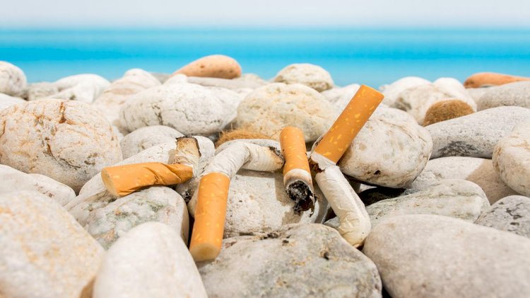 Port of Tallinn and ferry companies join forces to tackle cigarette butt pollution