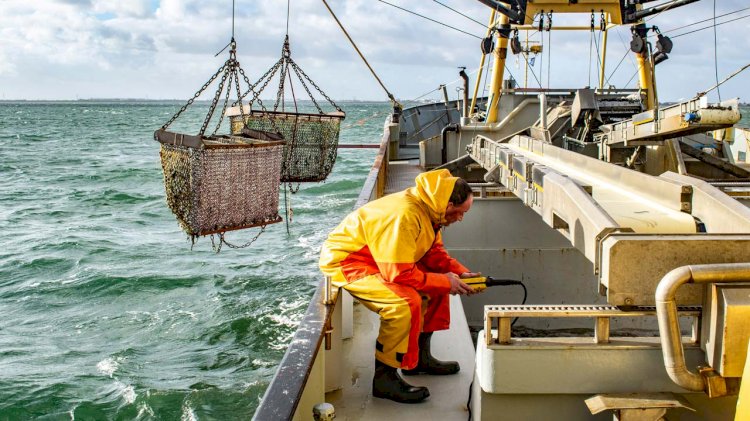 Reducing fishing fleet in the Baltic with support from EU funds