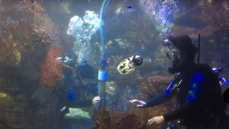 VIDEO: Engineers built a squid-like robot for underwater exploration