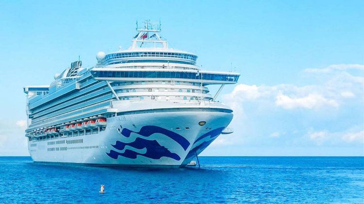 Princess Cruises extends pause of global ship operations into 2021