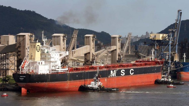 MSC calls for urgent solution for seafarers on chartered bulk carrier ANASTASIA