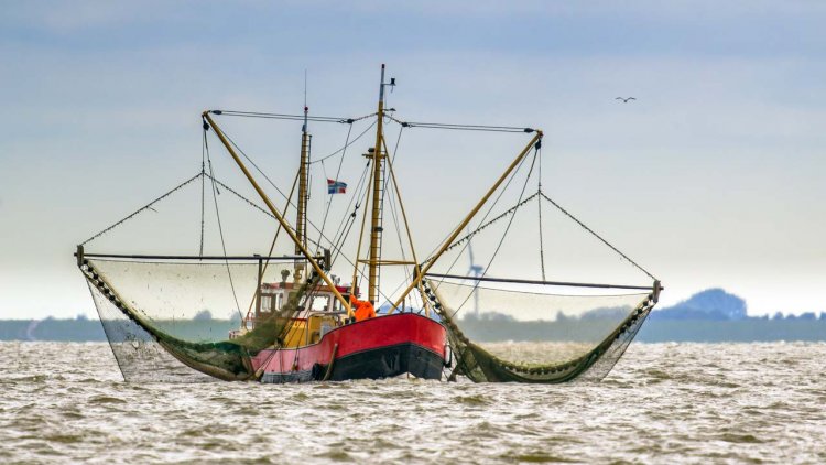 Satellites can reveal risk of forced labor in the world's fishing fleet