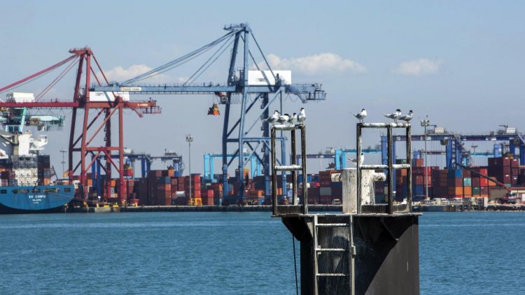Valenciaport joins the World Ports Climate Action Program