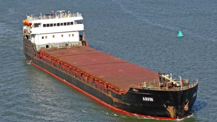 Update: Cargo ship sinks off Turkey's Black Sea coast, two dead