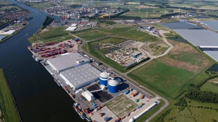 Container giant MSC to open new depot in North Sea Port