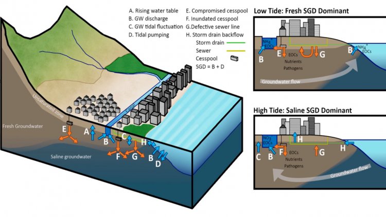 Reseach: Sea-level rise drives wastewater leakage to coastal waters