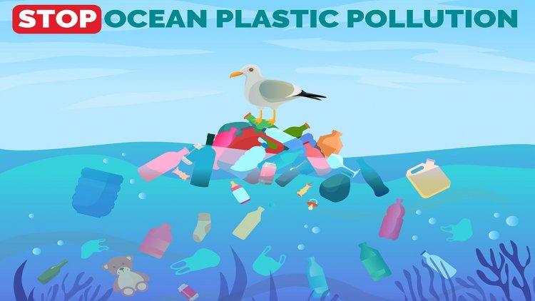 Mathematical model predicts the movement of microplastics in the ocean