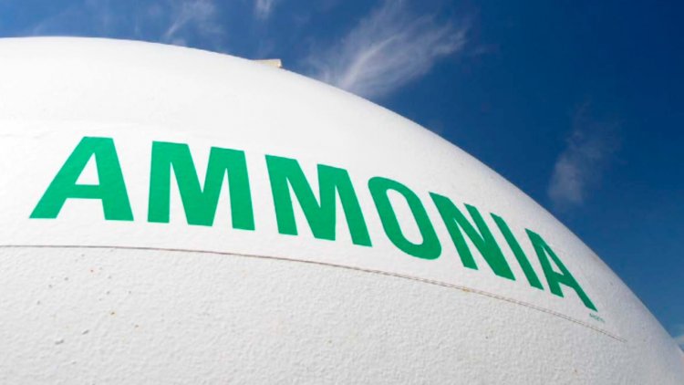 Woodside joins Japanese players to study shipping ammonia fuel from Australia to Japan
