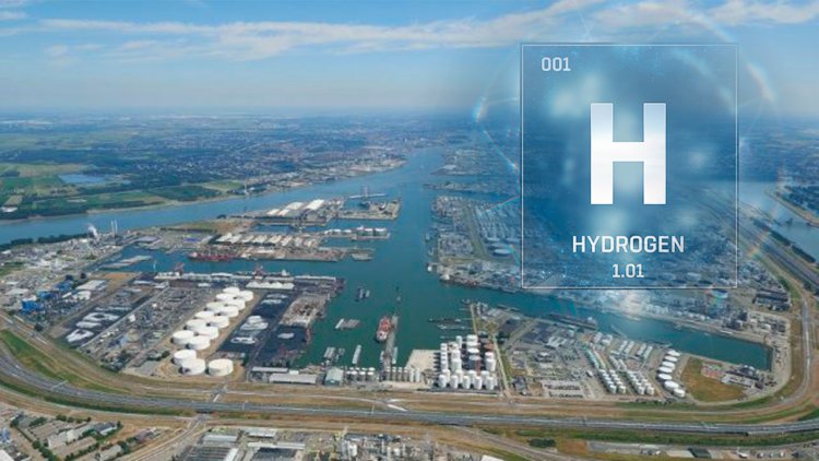 Four players sign MoU to study commercial-scale hydrogen imports to the Netherlands
