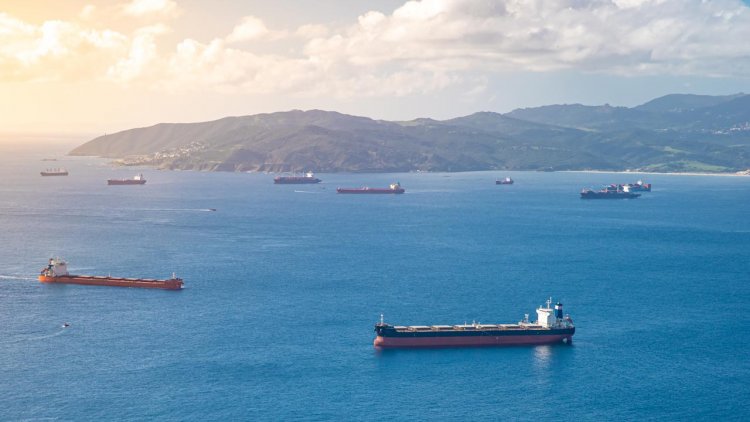 ClassNK grants its first DSS notation for bulk carrier “DREAM CLOVER”