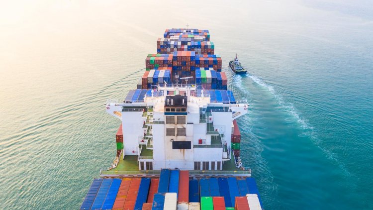 Opinion: Reefer container freight rates to outgun dry cargo rates in 2022