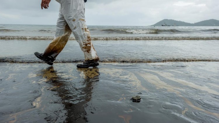 Disaster in Novorossiysk: The area of ​​oil spill is 400 thousand times higher than declared