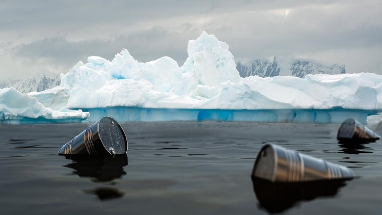 Marine bacteria in Canadian Arctic capable of biodegrading diesel and oil