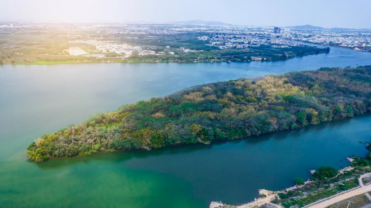 Rivers are largest global source of mercury in oceans