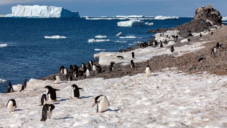 Increased snowfall will offset sea level rise from melting Antarctic ice sheet