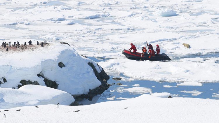 Ukrainians in Antarctica will make souvenirs from plastic waste