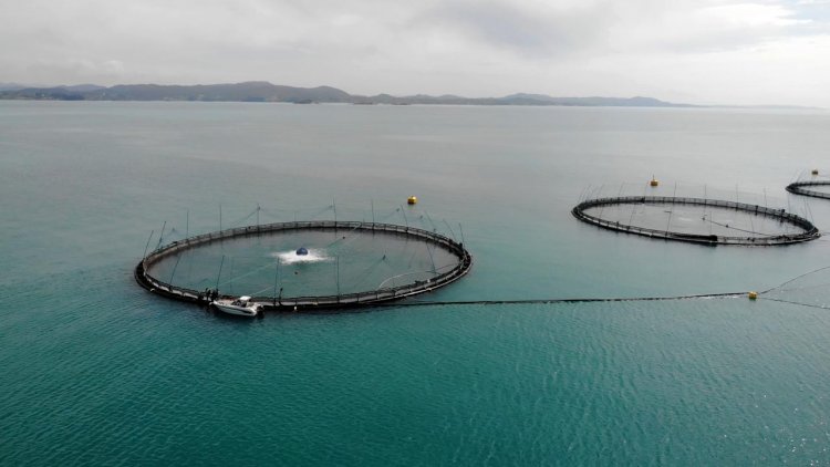 Framo strengthens sustainable aquaculture focus