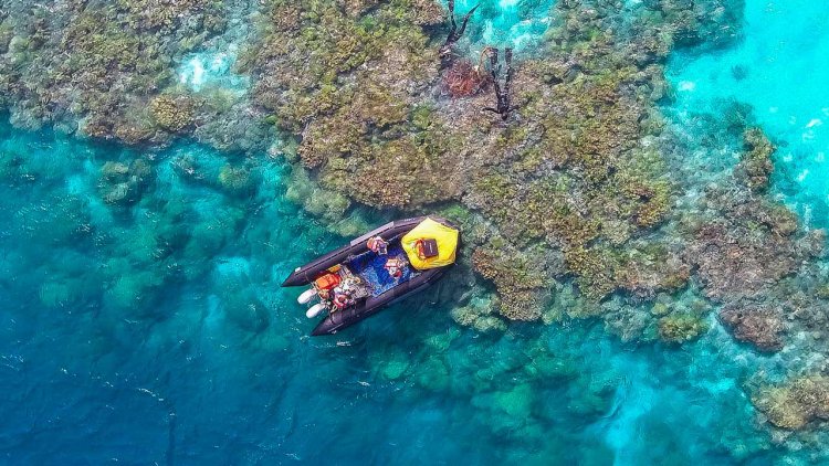 NOAA considers marine sanctuary off Hawaiian Islands