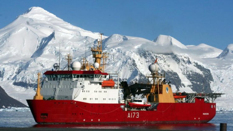 Invasive species ‘hitchhiking’ on ships threaten Antarctica’s unique ecosystems