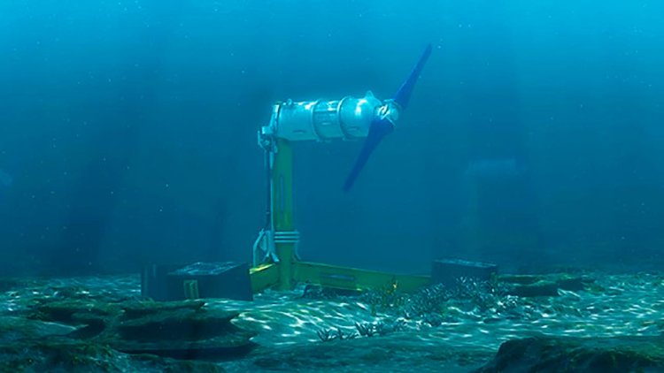 Nova wins seabed lease to help drive Shetland's clean energy future