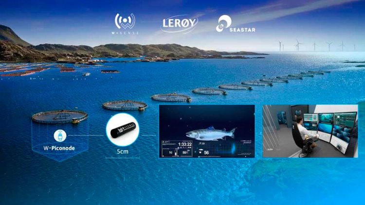 SEASTAR brings digitisation underwater for sustainable aquaculture