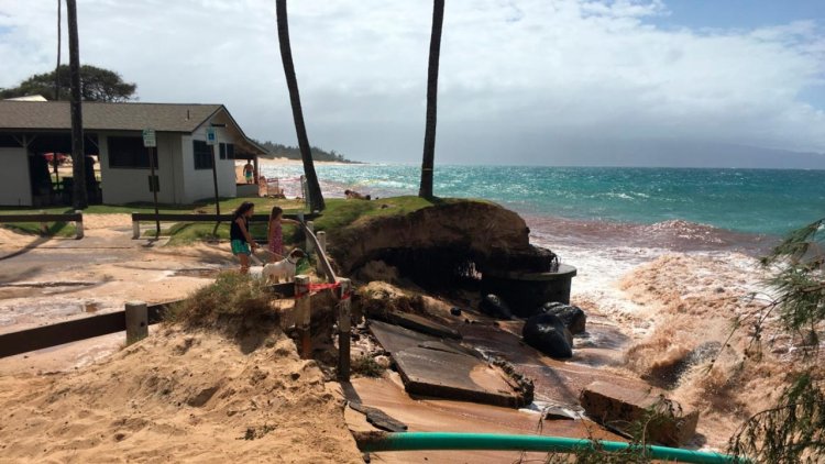 NOAA, NFWF announce $7.7 million in grants to support coastal resilience