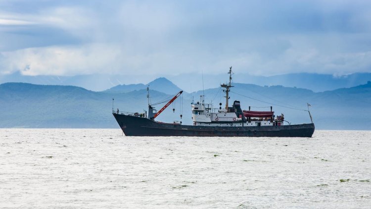 Report: The fishing industry in Norway has larger CO2 emissions than civil aviation