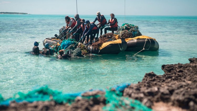 NOAA, NFWF award $2.6 million for largest U.S. marine national monument