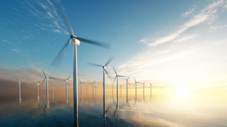 NYK to establish training center for offshore wind power generation