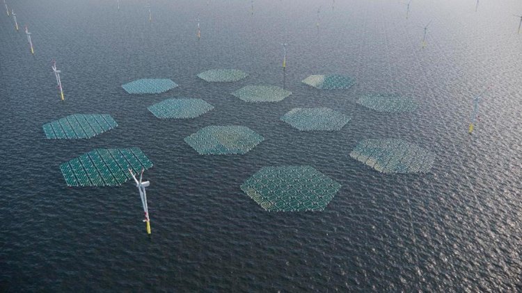 SolarDuck will build largest Offshore Floating Solar plant together with RWE
