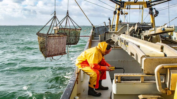 Despite Ukraine invasion, Faroe Islands re-establishes fishing agreement with Russia
