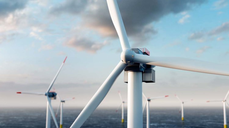 Offshore wind farms change marine ecosystems, study shows