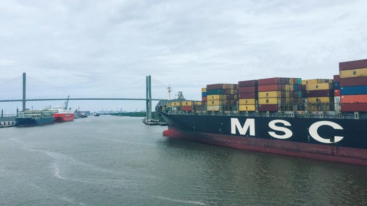 MSC now directly connects India and the West Mediterranean