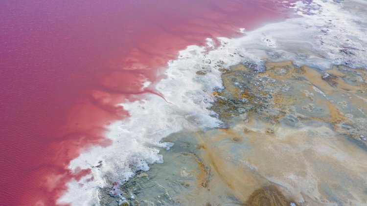 Pink dye experiment to reveal mysteries of coastal ocean dynamics