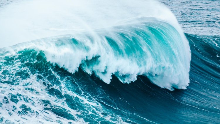 MERA spearheads world-leading wave energy hydrodynamics project