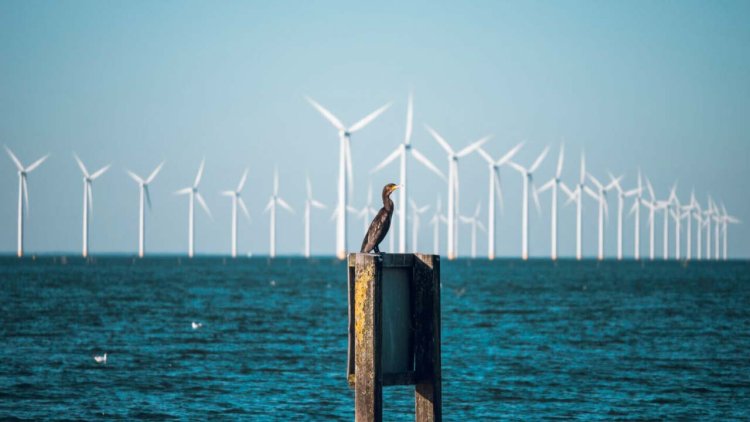 Active control of wind turbine speed can lead to fewer bird strikes