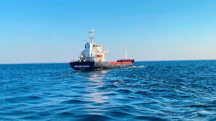First ship with Ukrainian grain arrives at Bosphorus through temporary corridor