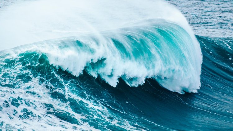 New project demonstrates the cost of tidal energy could be reduced by 17 per cent