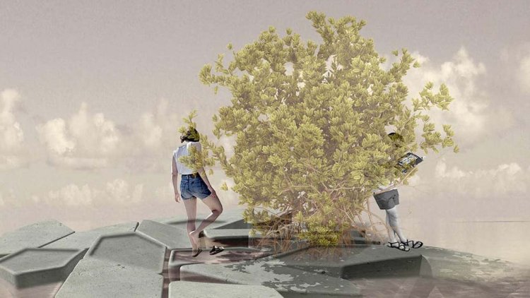 Ocean forests: How 'floating' mangroves could provide a broad range of ecological and social benefits