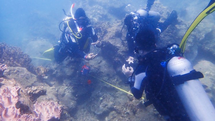 New AIMS-developed reef monitoring technology used by scientists in Vietnam