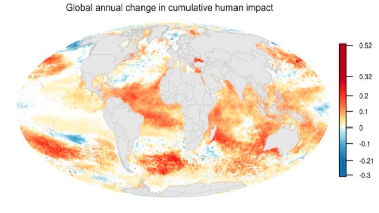 NCEAS's study: Human impacts on oceans have doubled in the decade