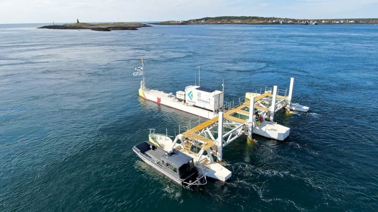 Two companies launch a new tidal energy project in Canada