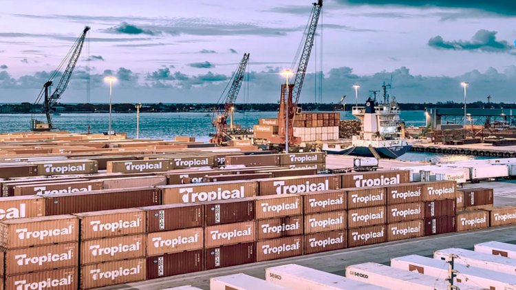 Tropical St. Thomas Terminal implements Octopi to improve its productivity