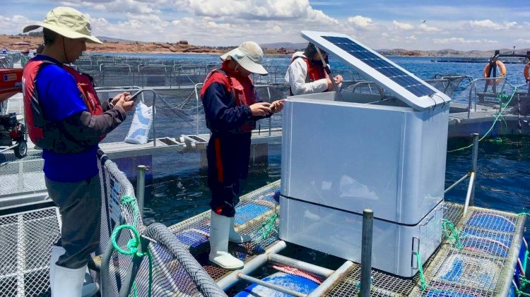 UMITRON deploys AI technology for fish farmers in Peru